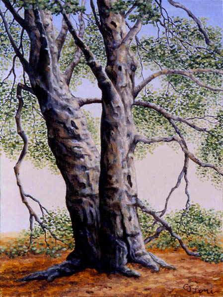 Twin Beech, oil on panel, 12 x 9&quot;, 2000 (Sold)