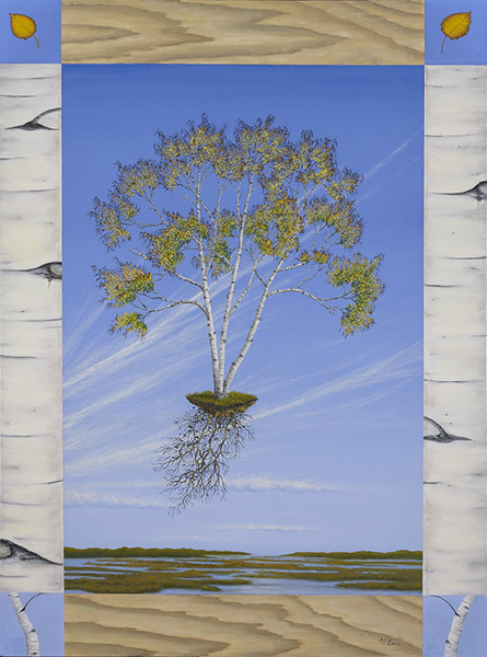 Sic Transit Birch