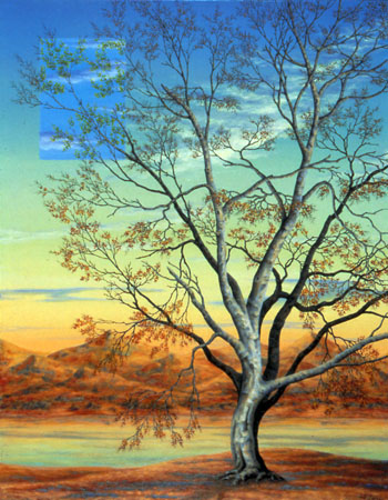 REACHING, oil on canvas, 28 x 22&quot;, 2004