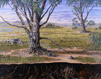 Longwood Intemporal, oil on canvas, 22 x 28&quot;, 2000