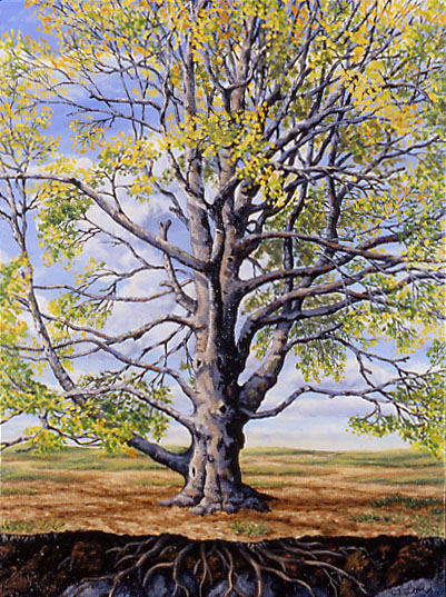 Perrenial, oil on canvas, 16 x 12&quot;, 2001 (Sold)