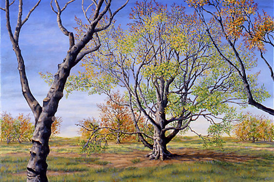 When April Falls, oil on canvas, 20 x 30&quot;, 2001